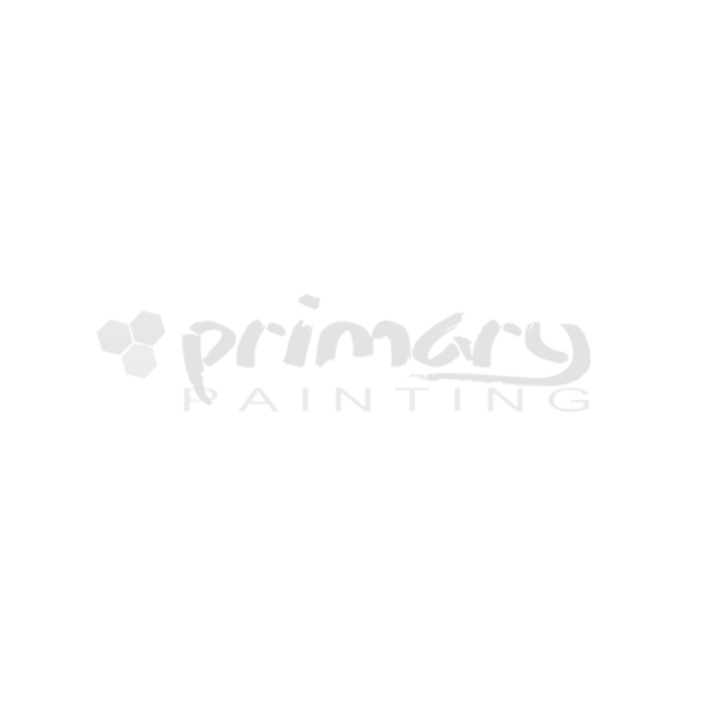 Primary Painting