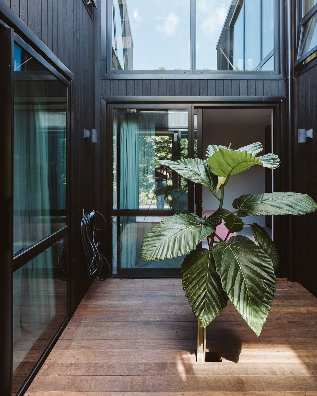 Award winning Home New Plymouth